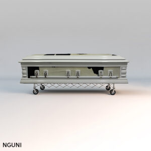 Nguni